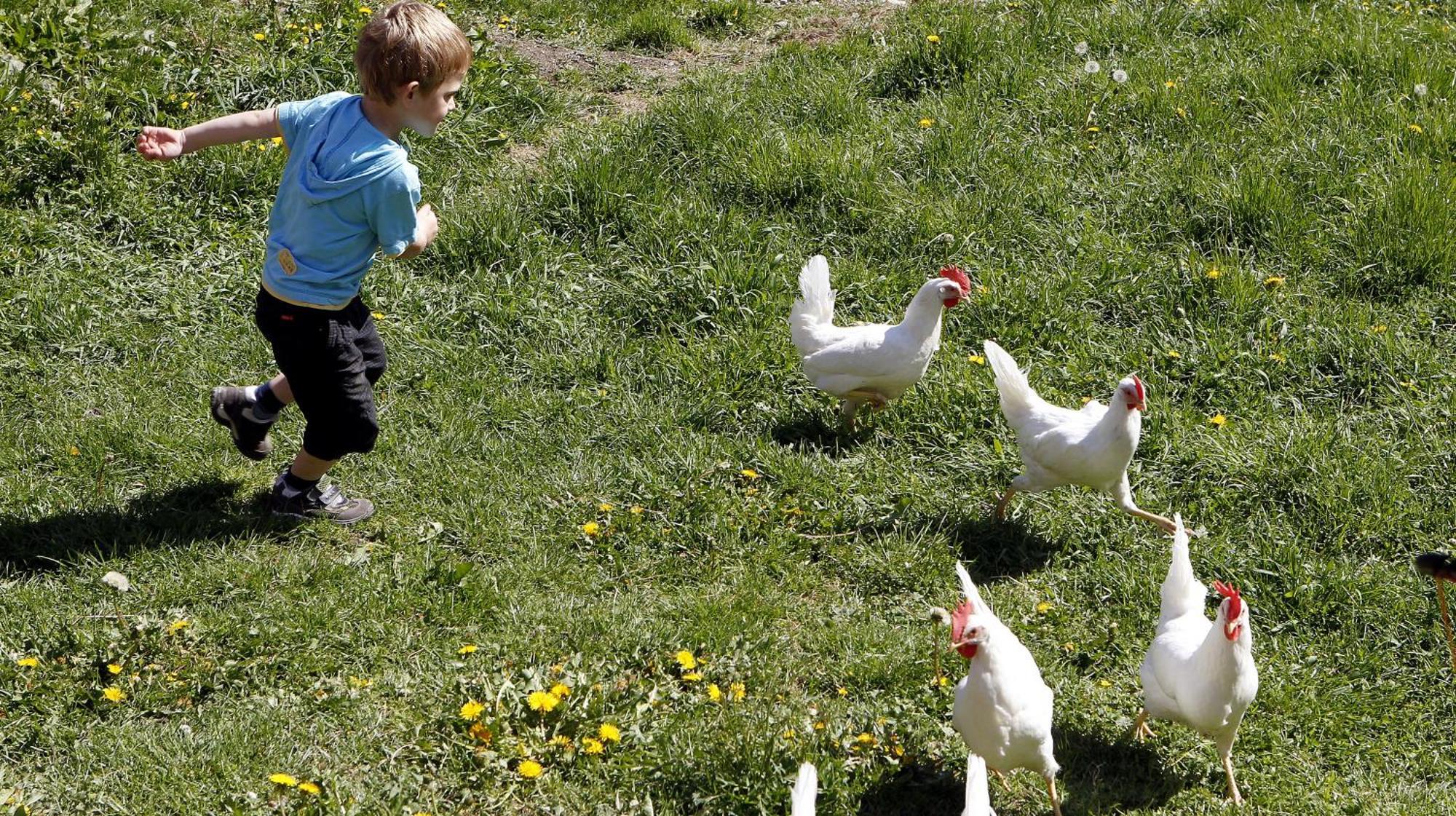 Willa Bio-Bauernhof Reiterhof Sankt Johann im Pongau Zewnętrze zdjęcie